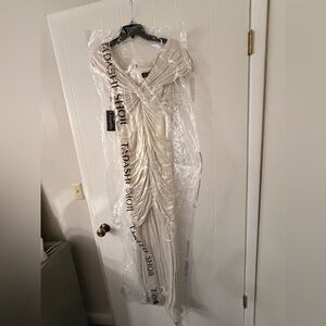 Tadashi Shoji Shimmering Cream Dress NWT